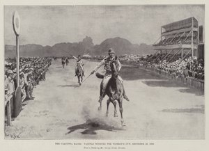The Calcutta Races, Vanitas winning the Viceroy